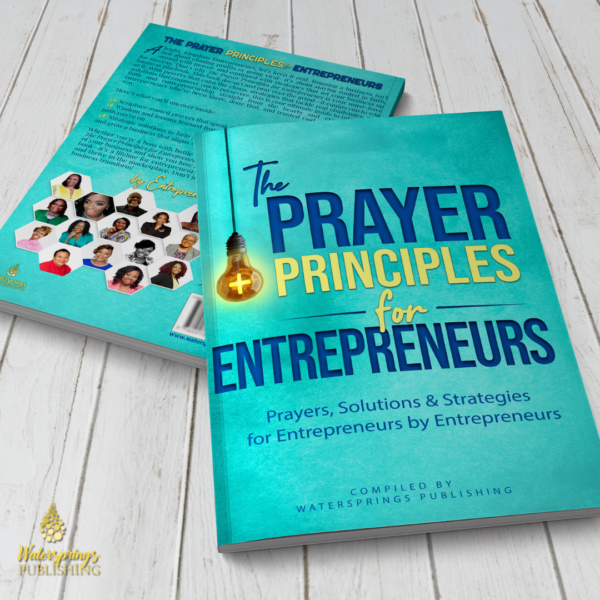 The Prayer Principles for Entrepreneurs - Image 3